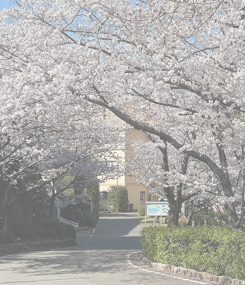 学校法人大牟田学園 正門